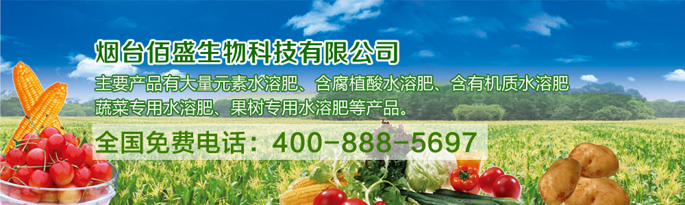 ���_��ʢ����Ƽ����޹�˾